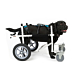Chariot roulant Chien