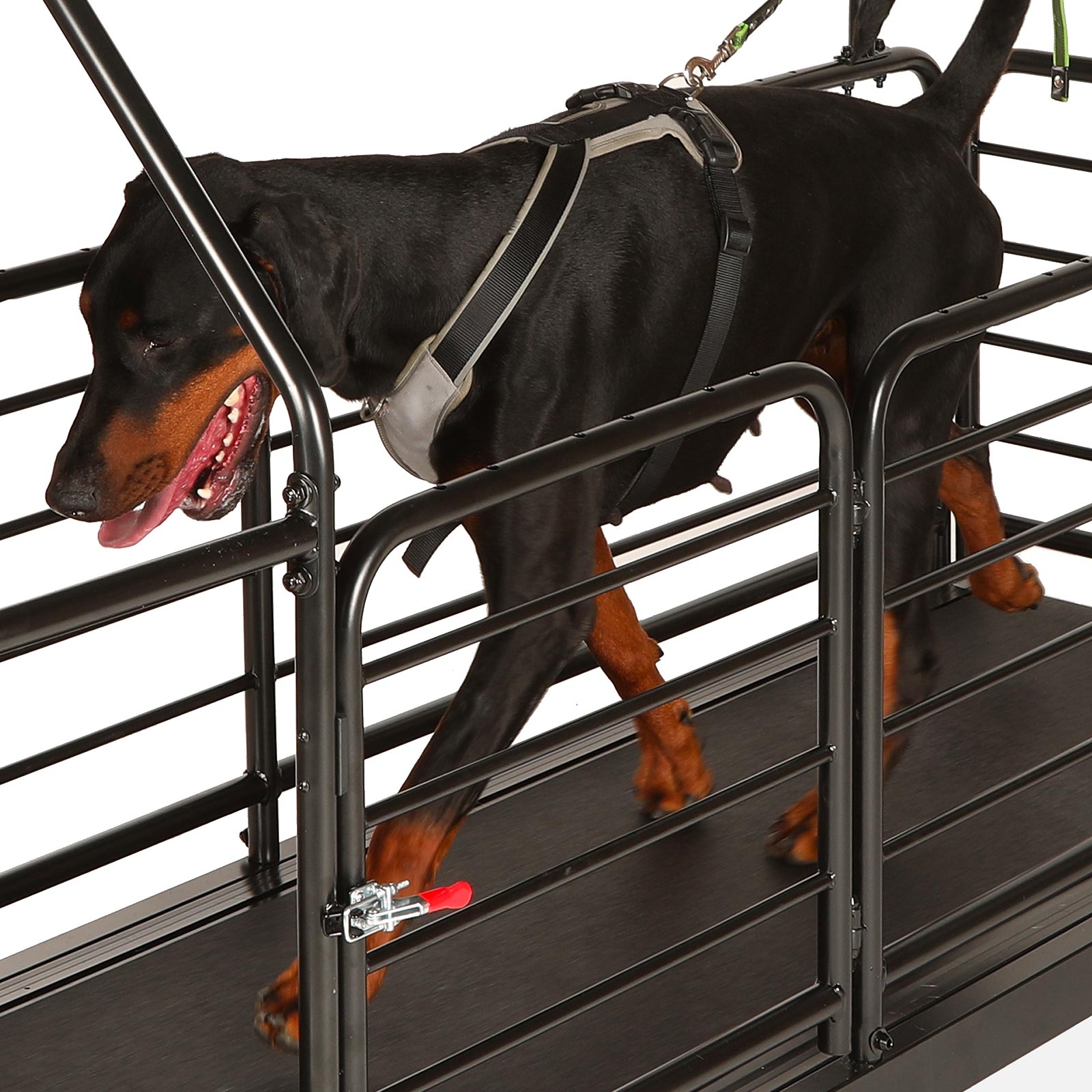 Tapis de course Ortho Pro